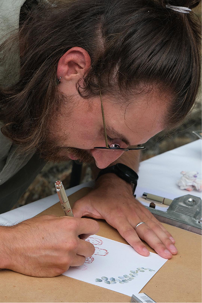 Illustration wedding Mariage Sacripan Nathan Russe